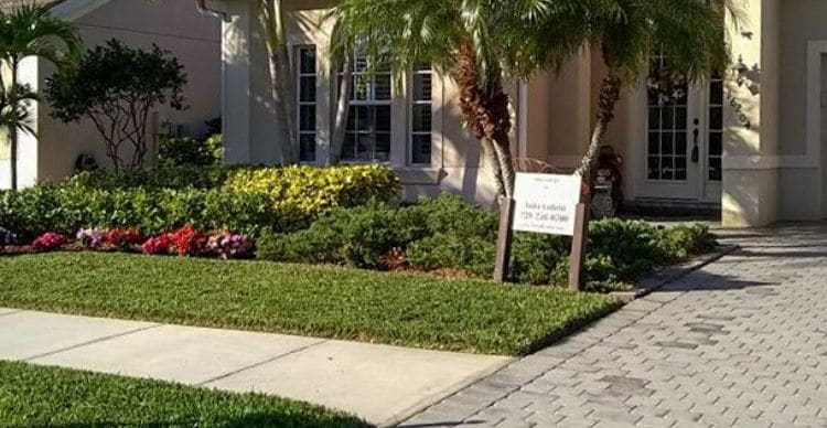 A lawn that has been serviced by Leo Garden Care. The grass is green and the home is surrounded by neatly trimmed shrubs and trees.