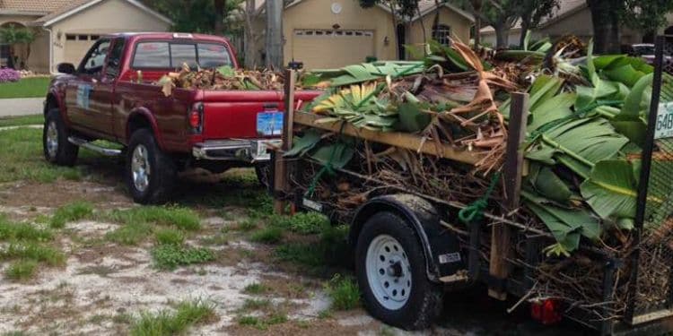 A truck hauling away a trailer full of clippings and palm fronds from a trimming service.