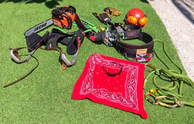 A collection of gear used by Leo Garden Care to trim trees such as a chainsaw and pulleys laid across a green lawn.