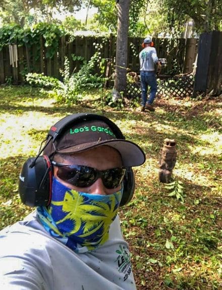 Two employees of Leo Garden Care working together to prune trees and service a lawn.