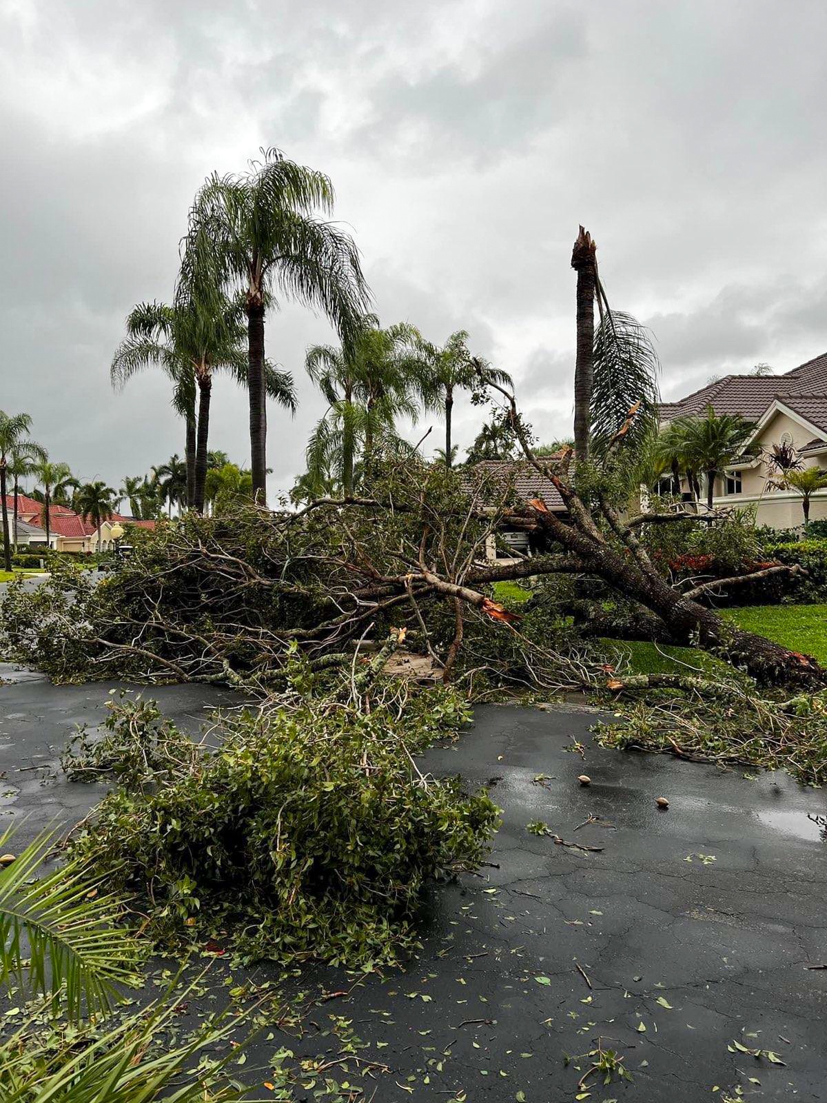 Emergency Storm Cleanup Near Me