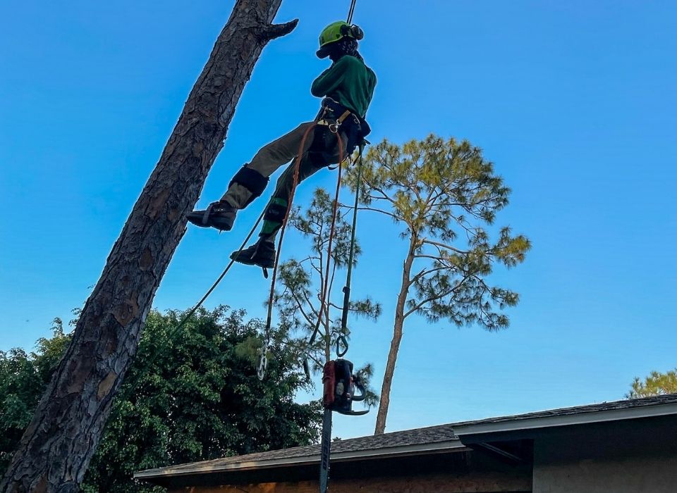 Storm Cleanup Naples FL