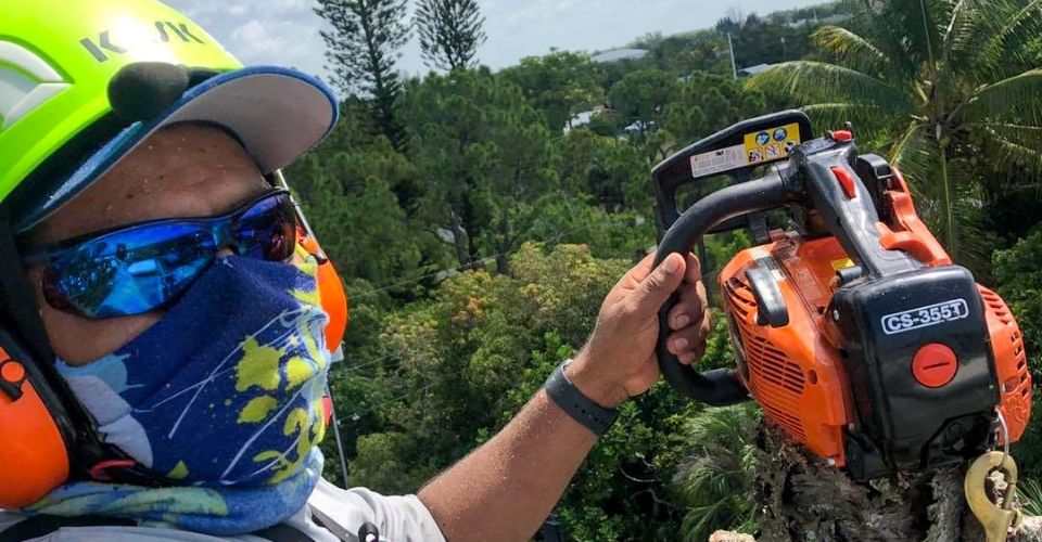 Tree Removal Bonita Springs