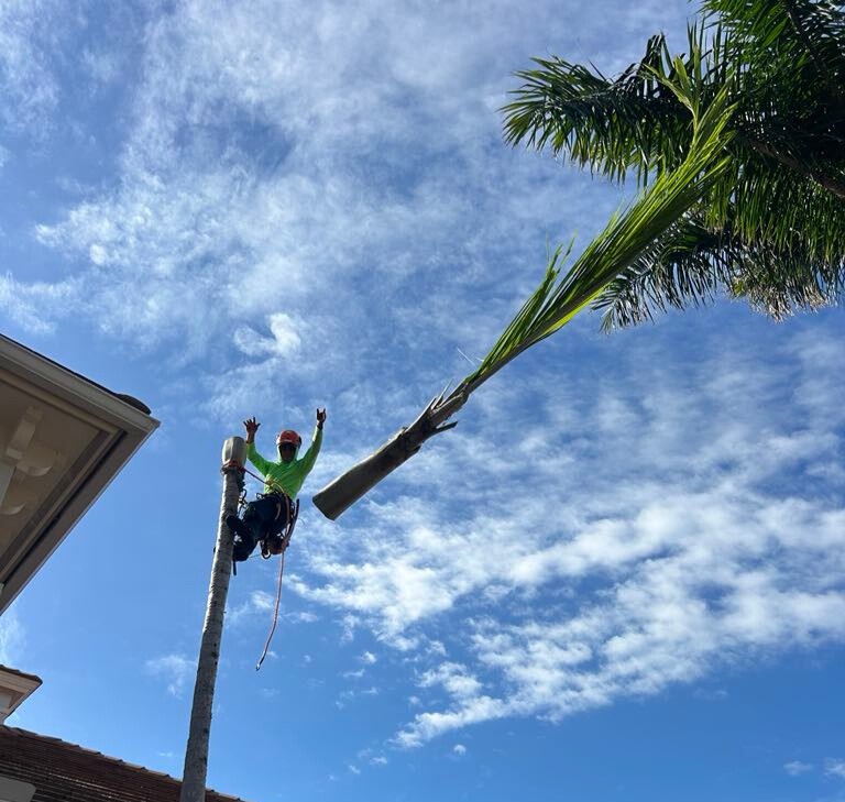 Unknown - Edited Leo Garden Care Tree and Landscape Team